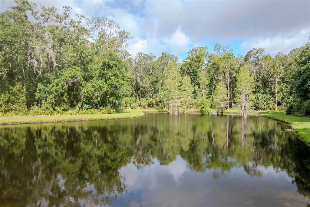 Под контрактом: $999,990 (5 спален, 5 ванн, 3720 Квадратных фут)