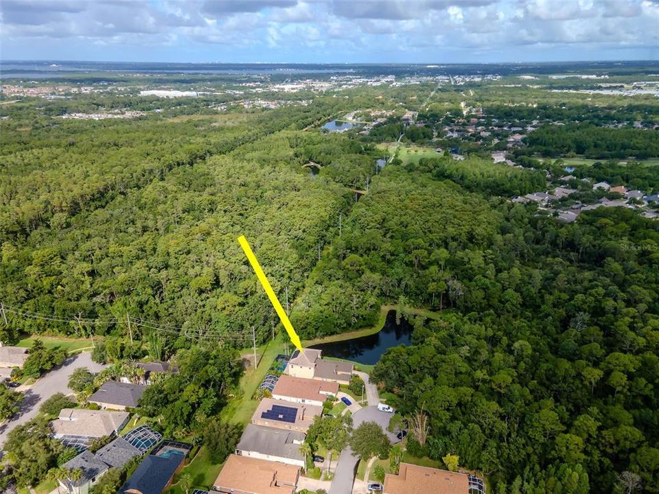 Под контрактом: $999,990 (5 спален, 5 ванн, 3720 Квадратных фут)