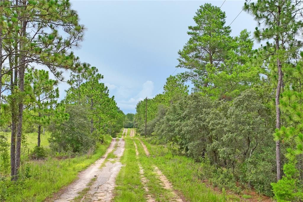 На продажу: $449,000 (16.39 acres)