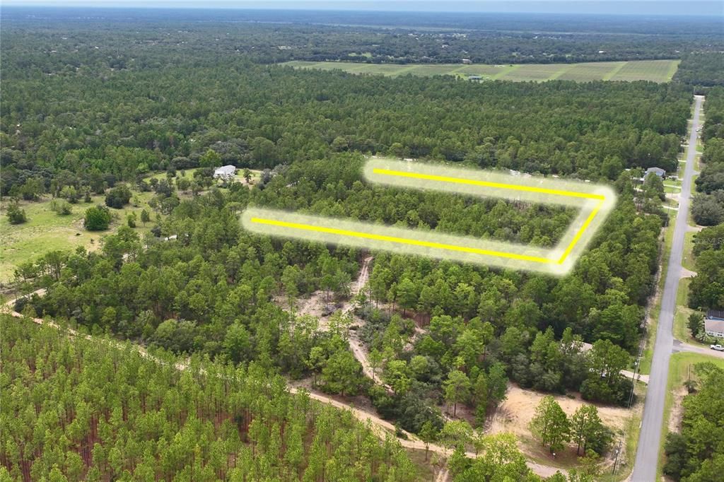 На продажу: $449,000 (16.39 acres)