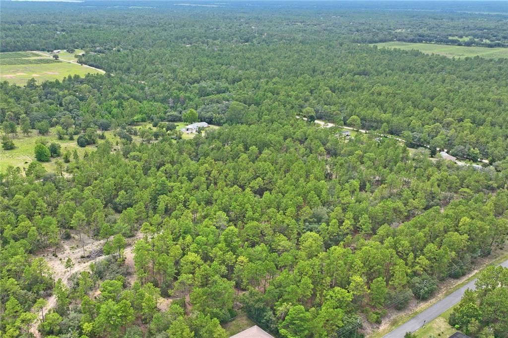 На продажу: $449,000 (16.39 acres)