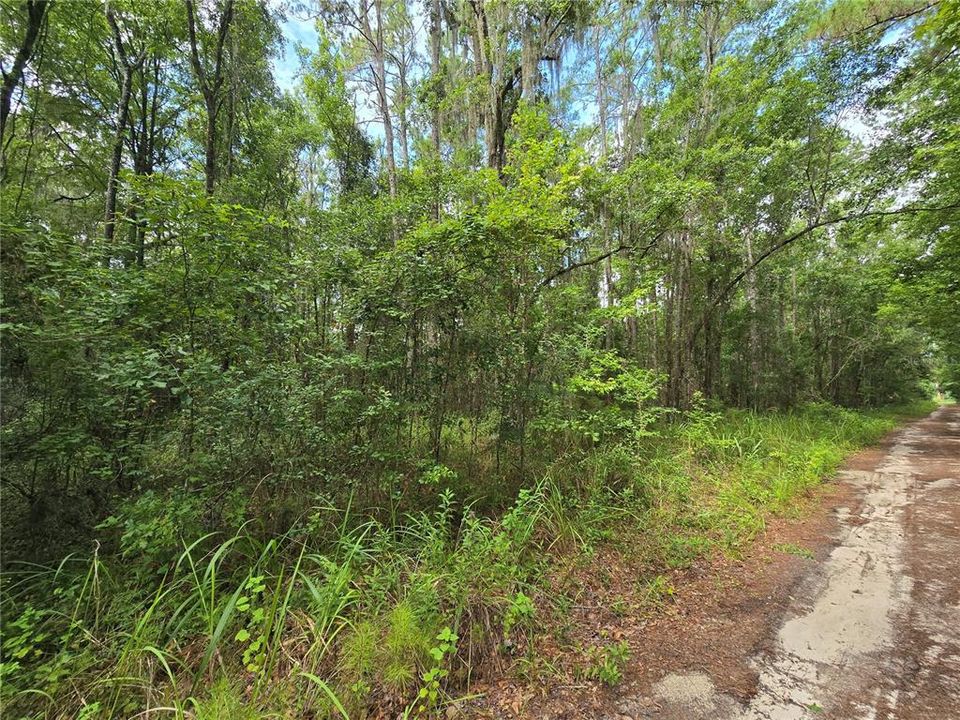 En Venta: $99,000 (3.00 acres)