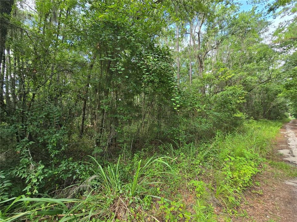 En Venta: $99,000 (3.00 acres)