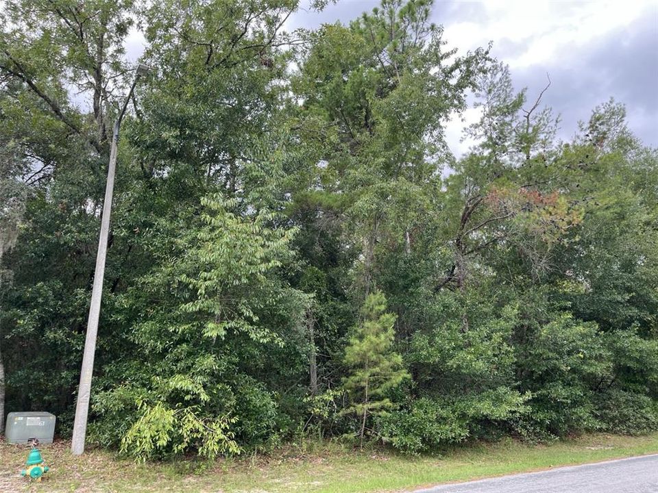 For Sale: $40,000 (1.02 acres)