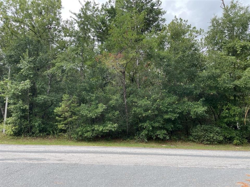 For Sale: $40,000 (1.02 acres)