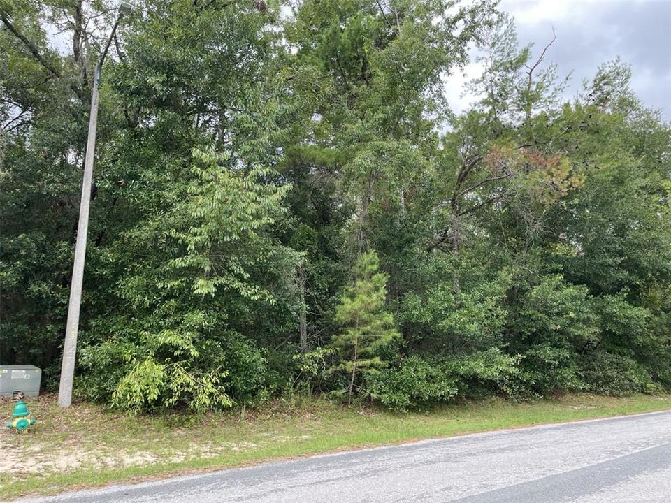 For Sale: $40,000 (1.02 acres)