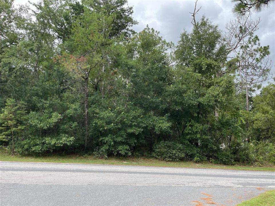 For Sale: $40,000 (1.02 acres)