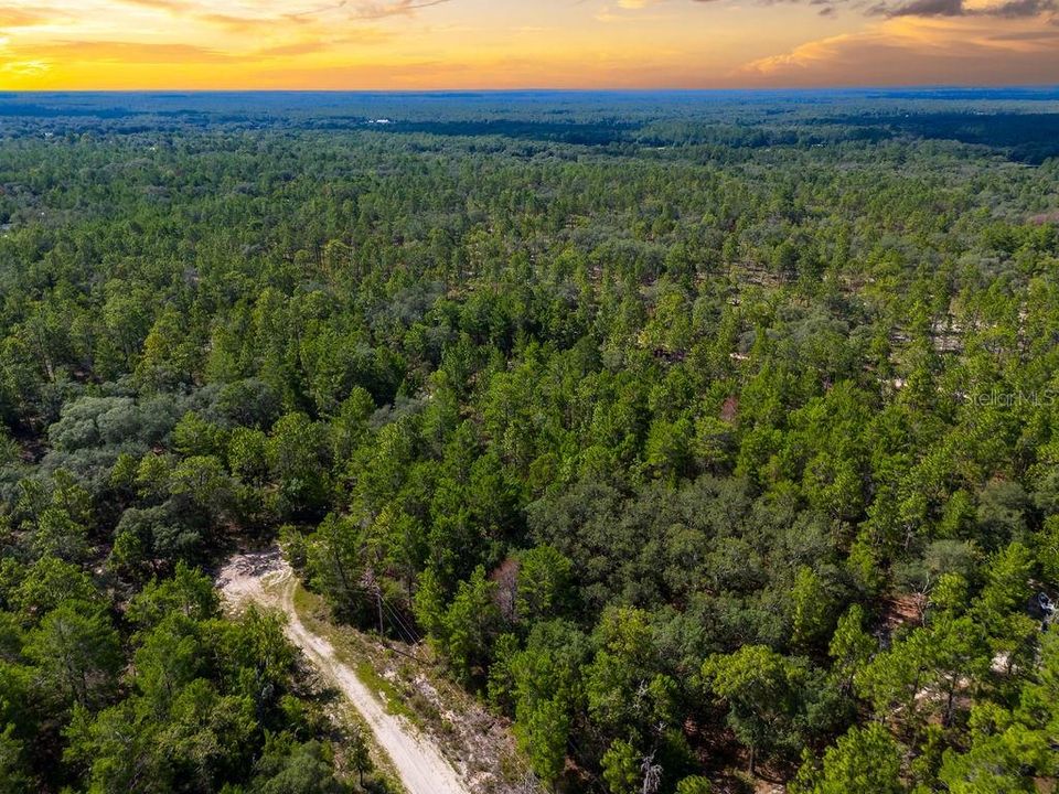 待售: $135,000 (5.50 acres)