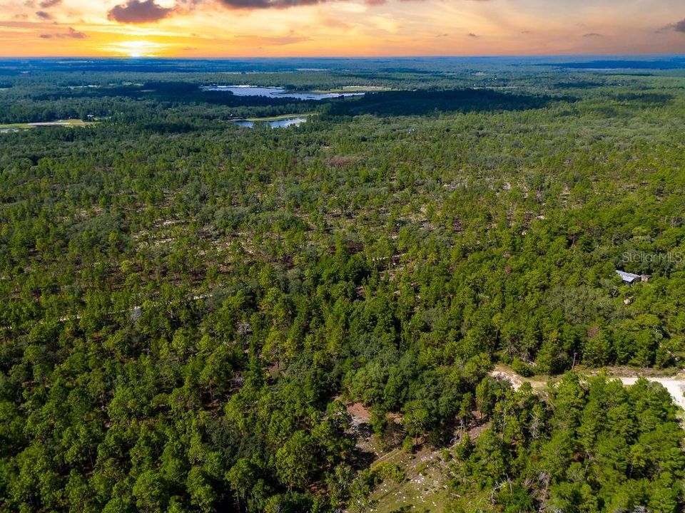 待售: $135,000 (5.50 acres)