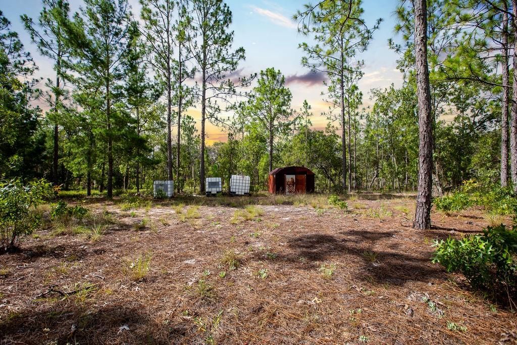 待售: $135,000 (5.50 acres)