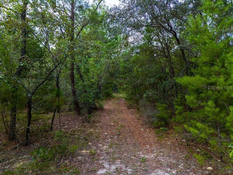 待售: $135,000 (5.50 acres)