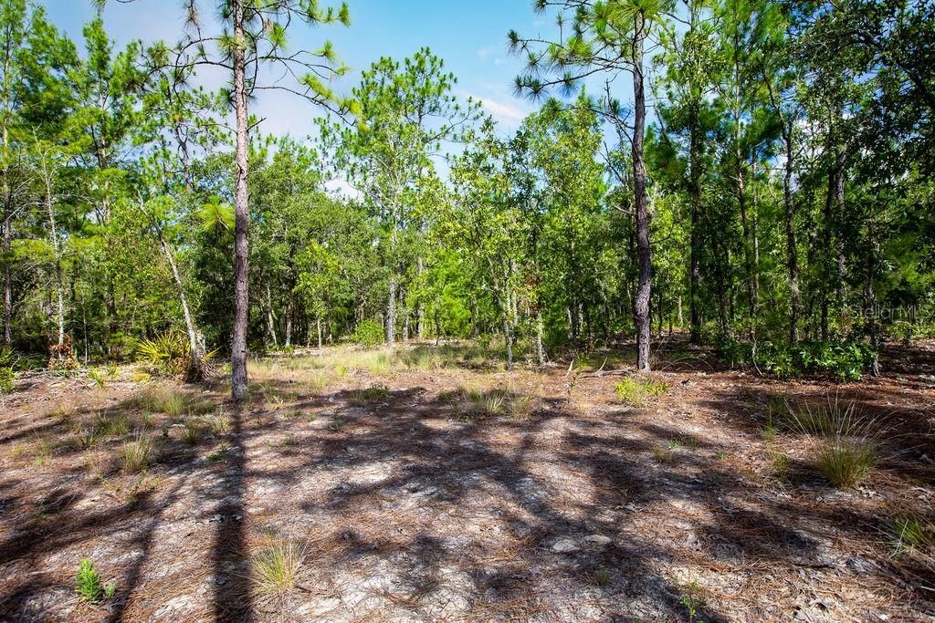 待售: $135,000 (5.50 acres)