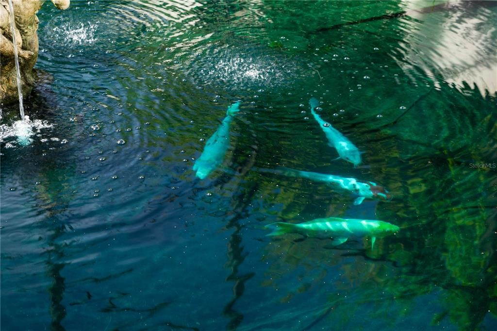 待售: $2,275,000 (5 贝兹, 3 浴室, 6098 平方英尺)