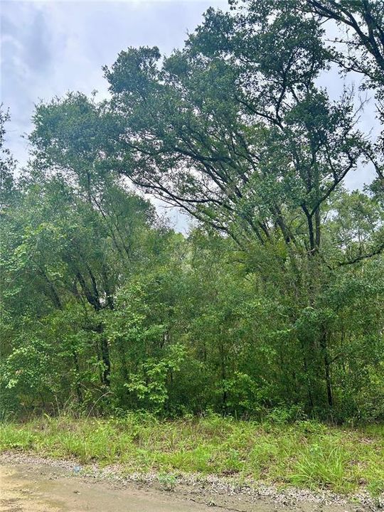 For Sale: $34,900 (0.92 acres)