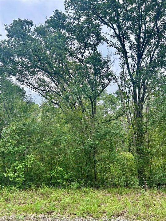 For Sale: $34,900 (0.92 acres)