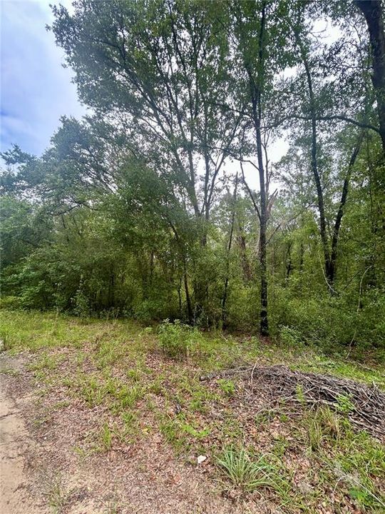 For Sale: $34,900 (0.92 acres)