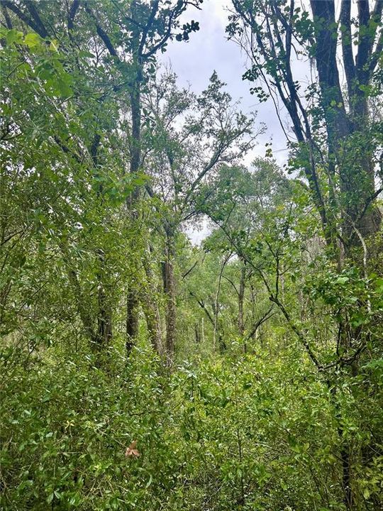 For Sale: $34,900 (0.92 acres)