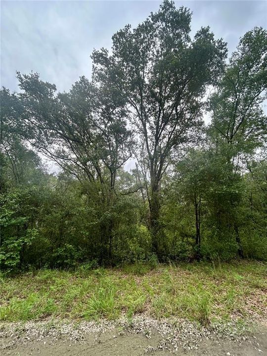 For Sale: $34,900 (0.92 acres)