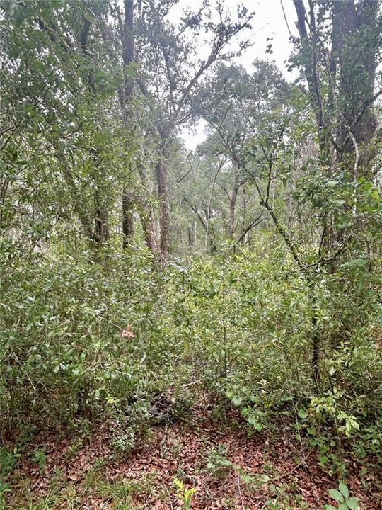 For Sale: $34,900 (0.92 acres)