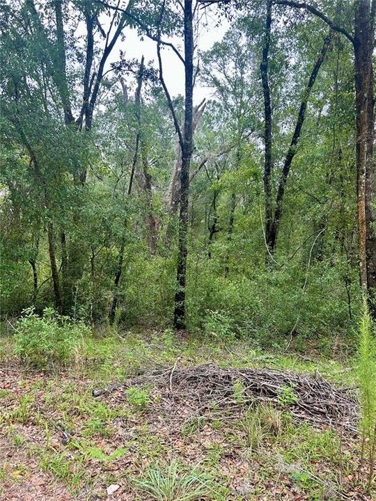 For Sale: $34,900 (0.92 acres)