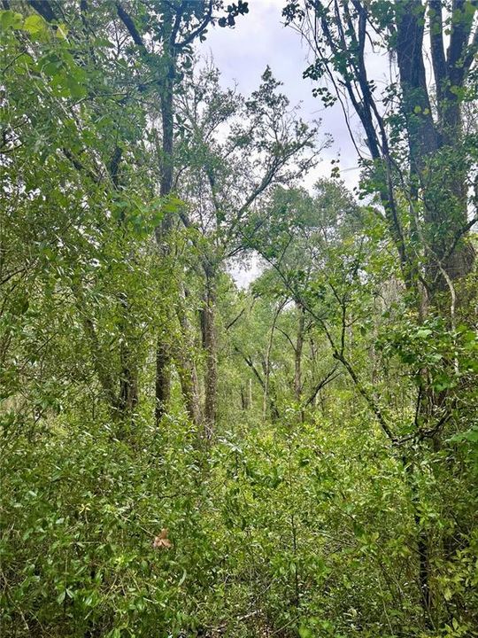 For Sale: $34,900 (0.92 acres)