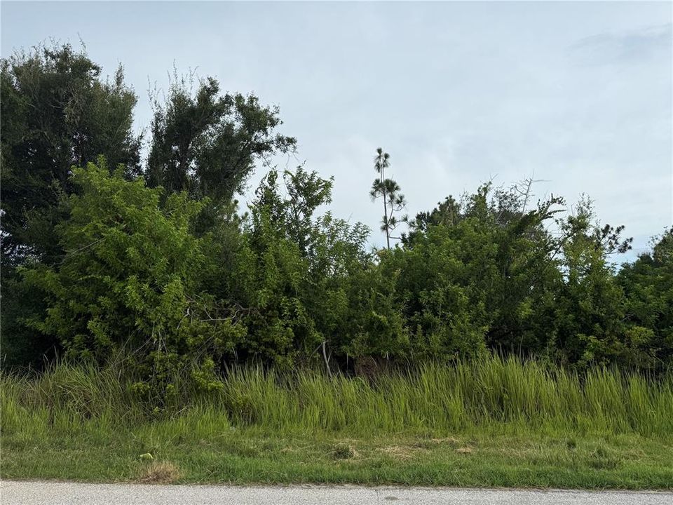 Activo con contrato: $25,000 (0.24 acres)