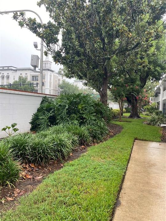 Под контрактом: $170,000 (2 спален, 1 ванн, 816 Квадратных фут)