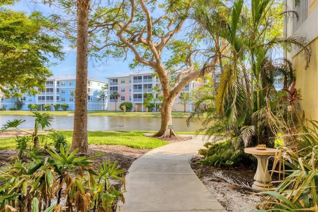 出租: $2,000 (2 贝兹, 2 浴室, 903 平方英尺)