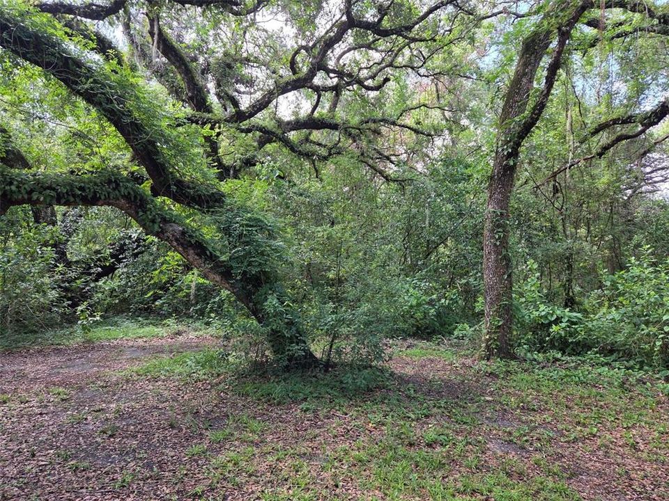 На продажу: $195,000 (2.50 acres)