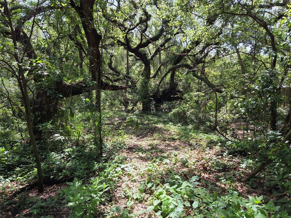 На продажу: $195,000 (2.50 acres)