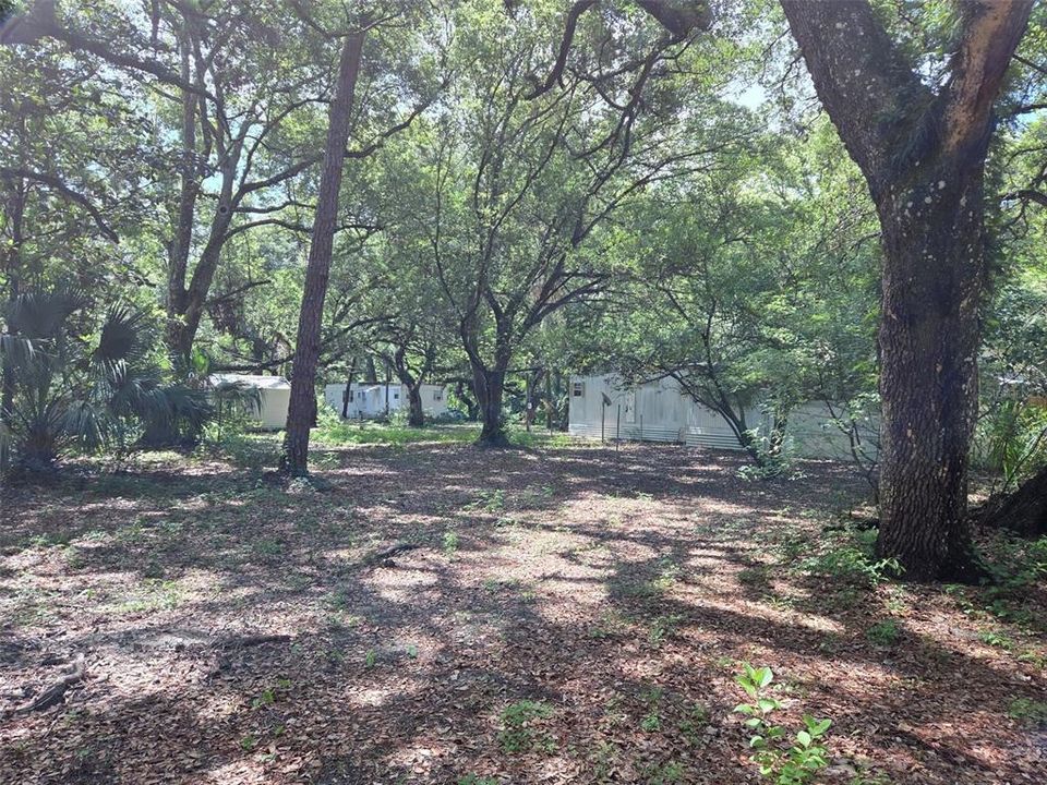 На продажу: $195,000 (2.50 acres)