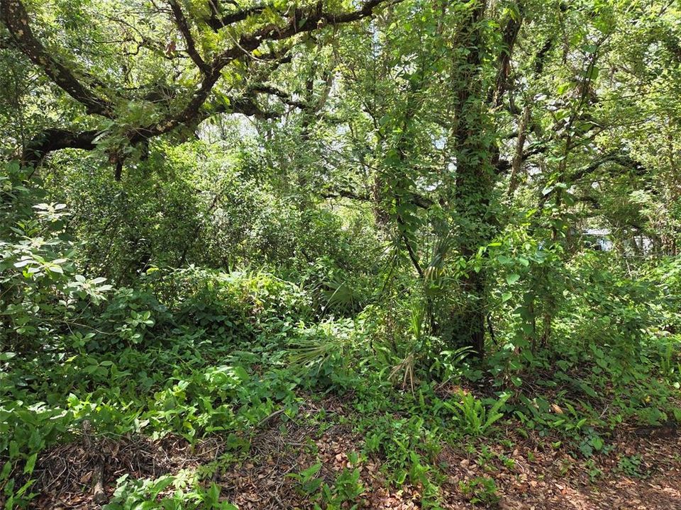 На продажу: $195,000 (2.50 acres)