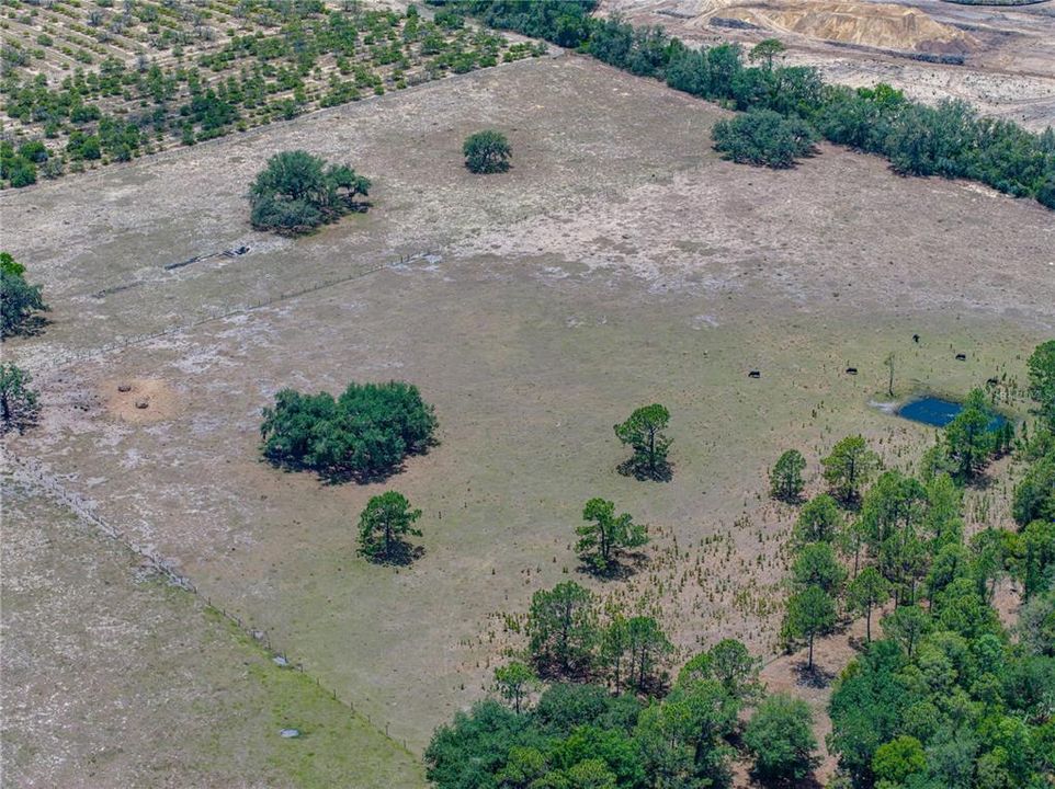 For Sale: $1,200,000 (4 beds, 3 baths, 3256 Square Feet)