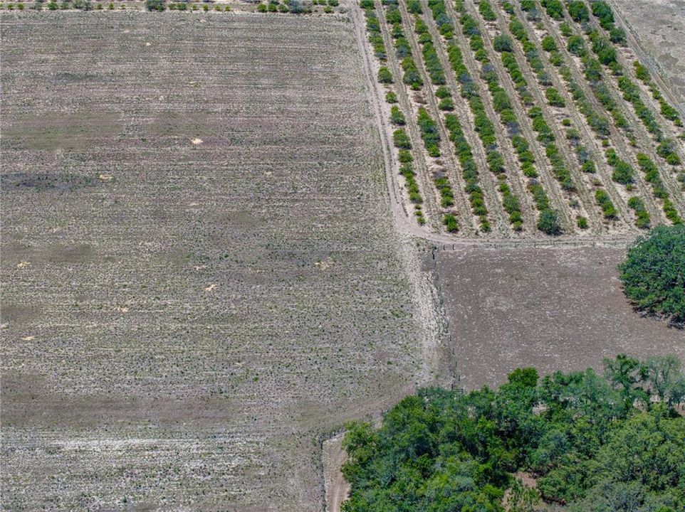 For Sale: $1,200,000 (4 beds, 3 baths, 3256 Square Feet)