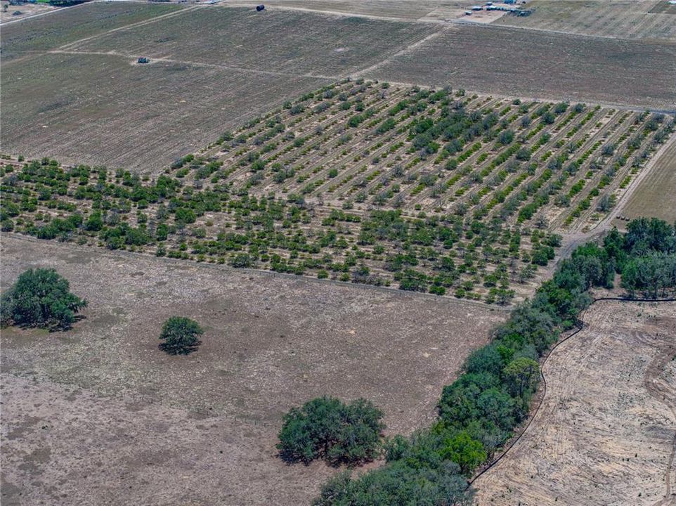 For Sale: $1,200,000 (4 beds, 3 baths, 3256 Square Feet)