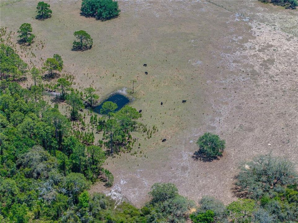 For Sale: $1,200,000 (4 beds, 3 baths, 3256 Square Feet)