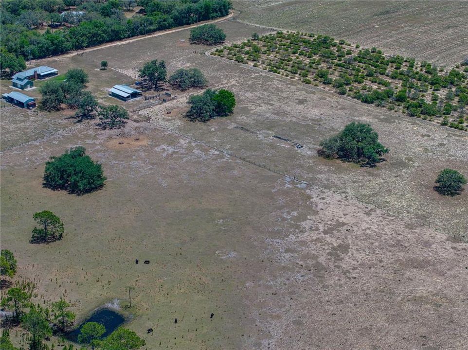 For Sale: $1,200,000 (4 beds, 3 baths, 3256 Square Feet)