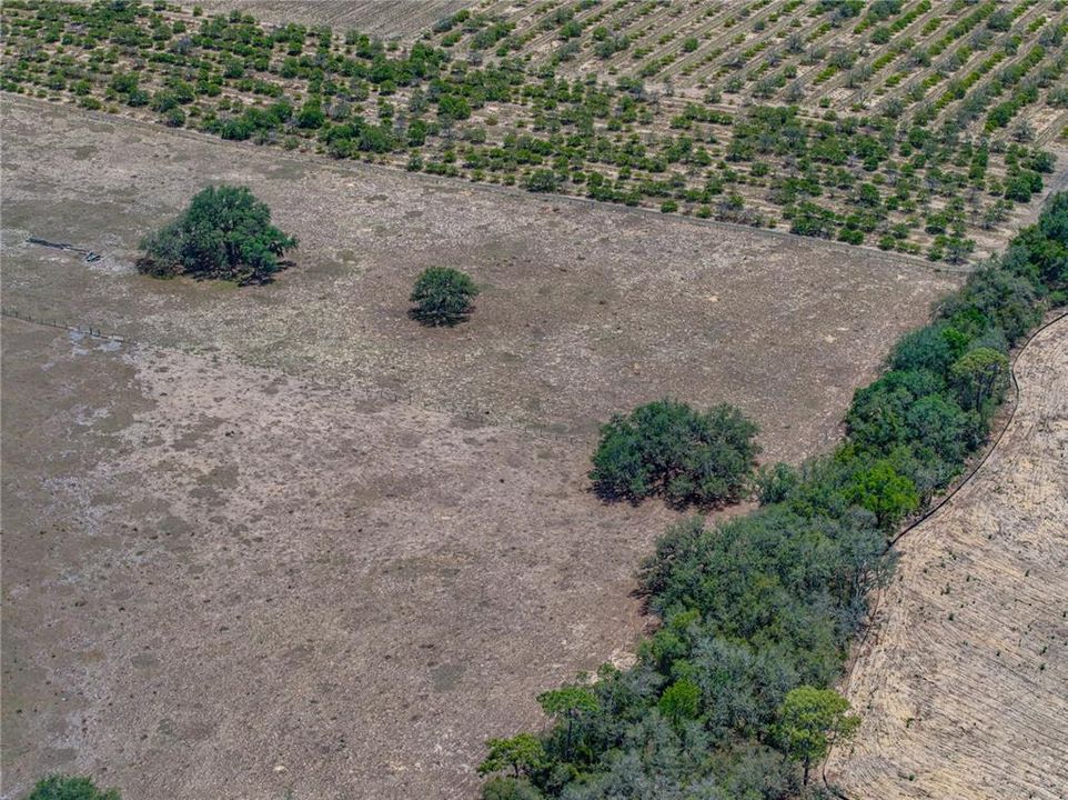 For Sale: $1,200,000 (4 beds, 3 baths, 3256 Square Feet)