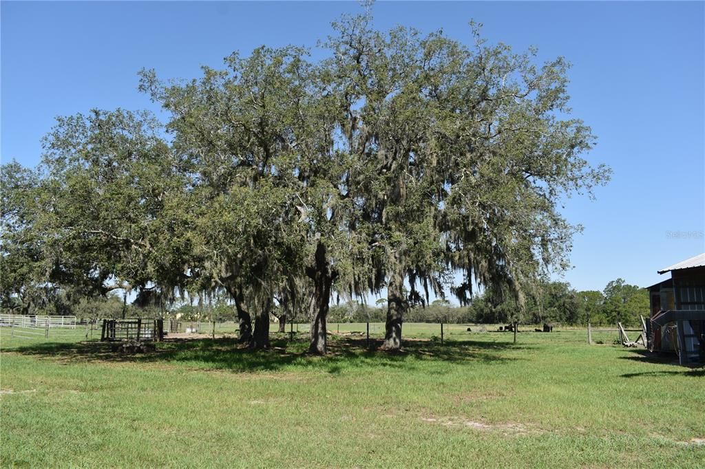 For Sale: $1,200,000 (4 beds, 3 baths, 3256 Square Feet)