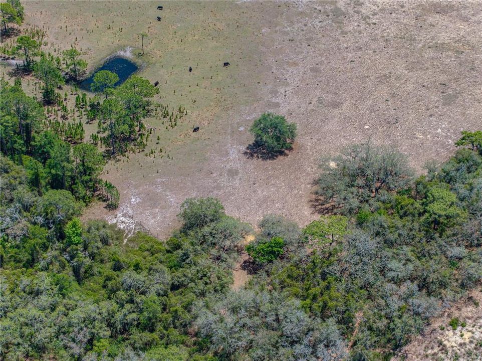 For Sale: $1,200,000 (4 beds, 3 baths, 3256 Square Feet)