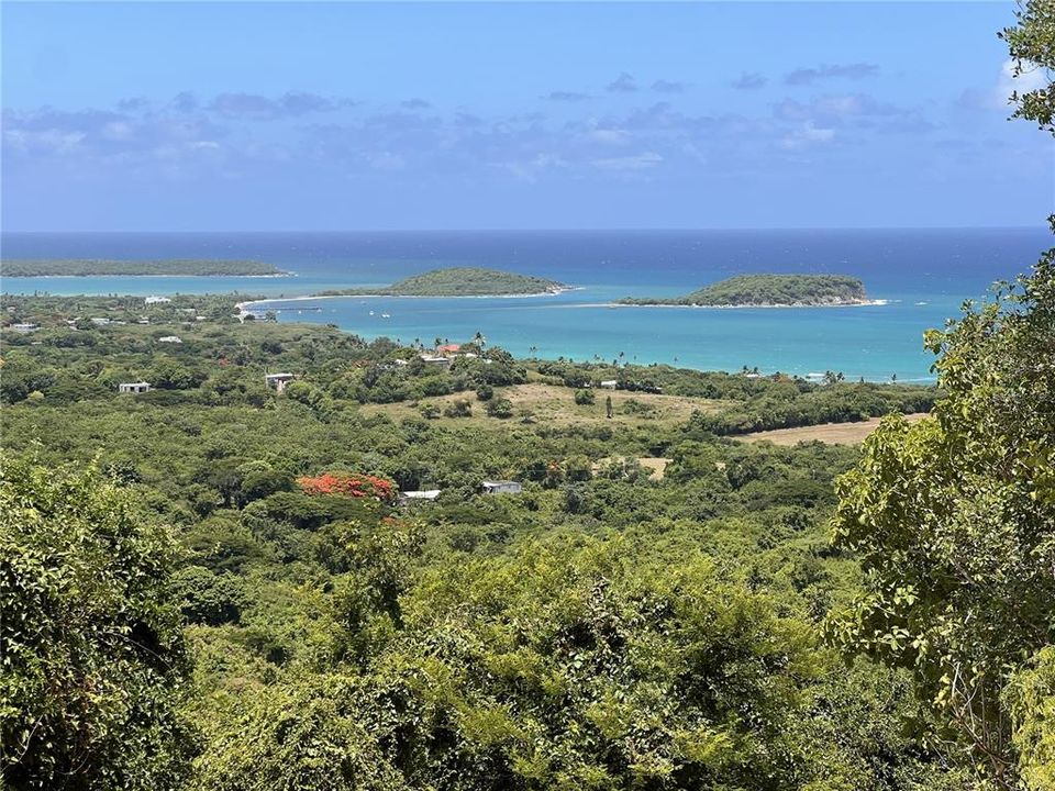 For Sale: $125,000 (2.17 acres)