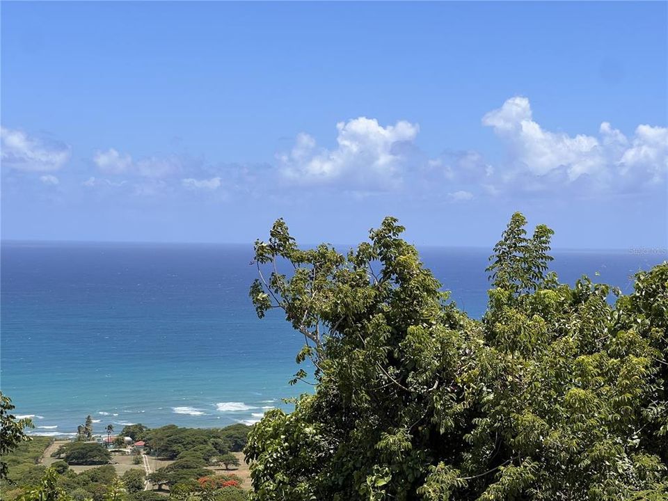 For Sale: $125,000 (2.17 acres)