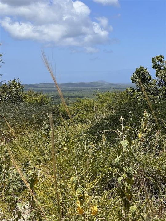 For Sale: $125,000 (2.17 acres)