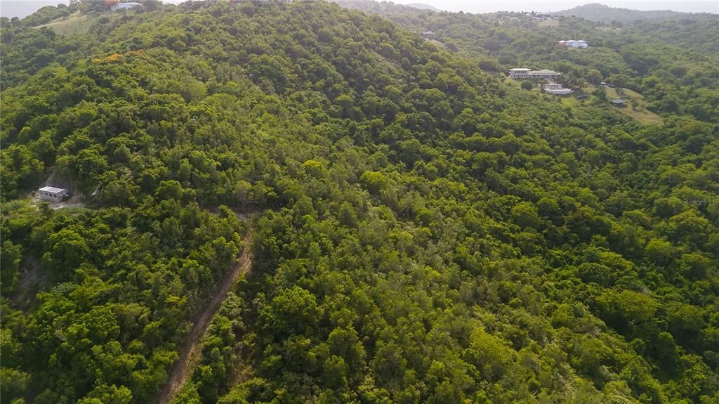 For Sale: $125,000 (2.17 acres)