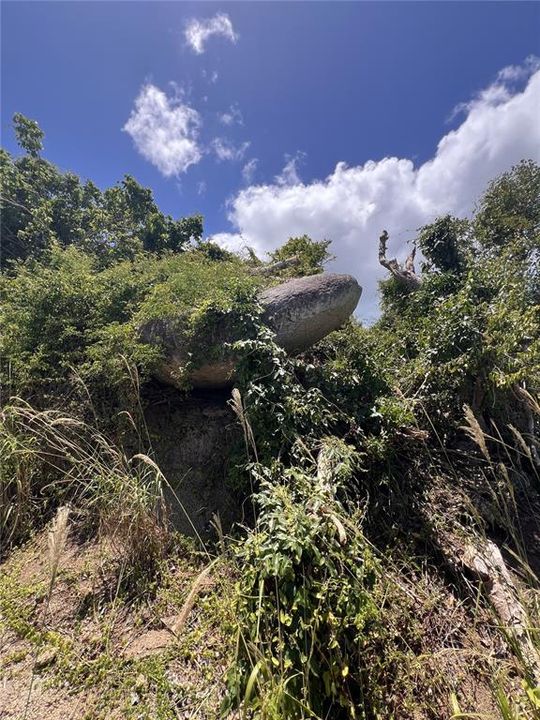 For Sale: $125,000 (2.17 acres)