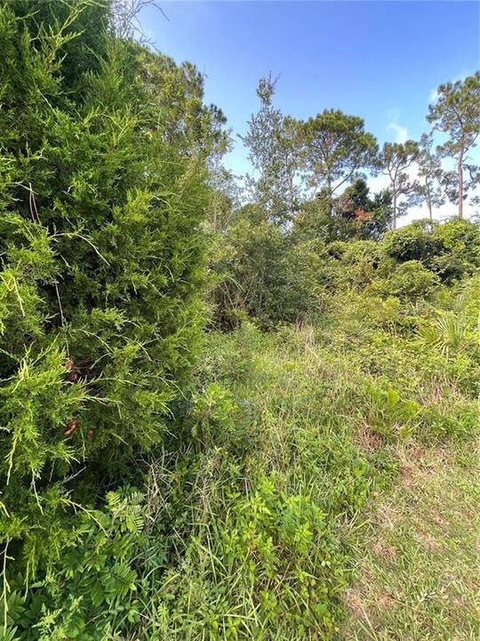 Под контрактом: $79,000 (0.24 acres)