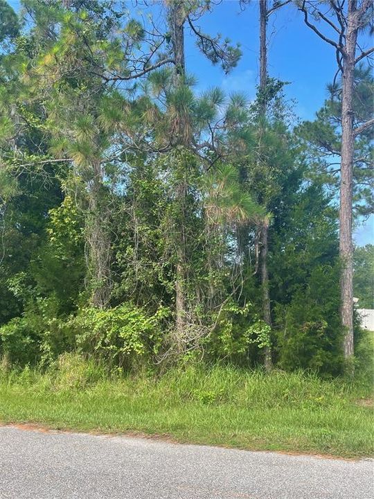 Под контрактом: $79,000 (0.24 acres)