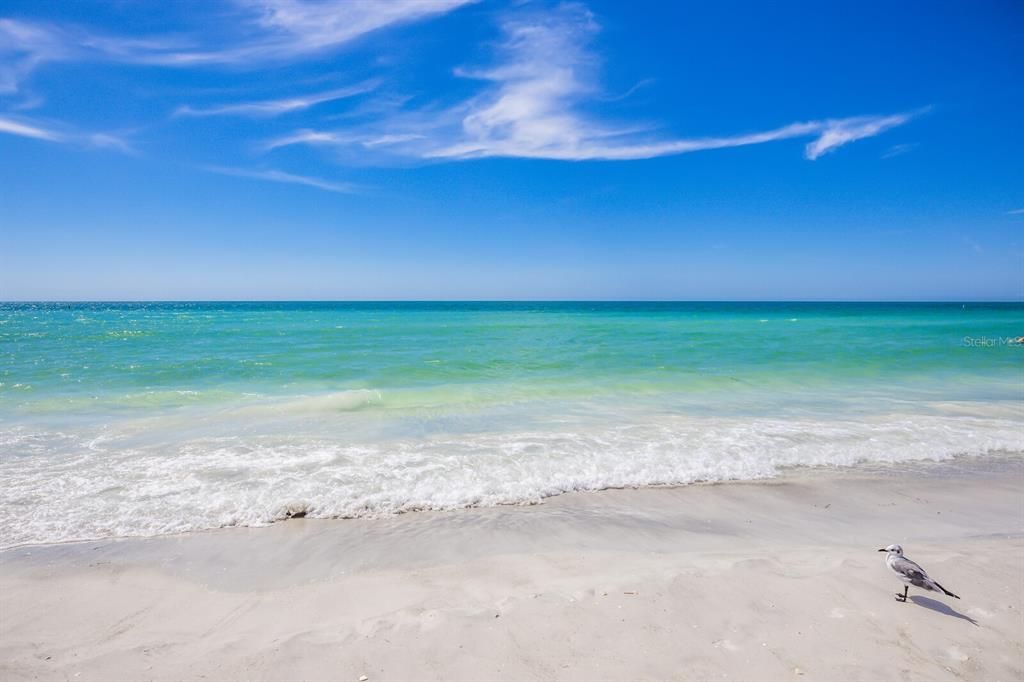 Active With Contract: $869,000 (3 beds, 2 baths, 2463 Square Feet)