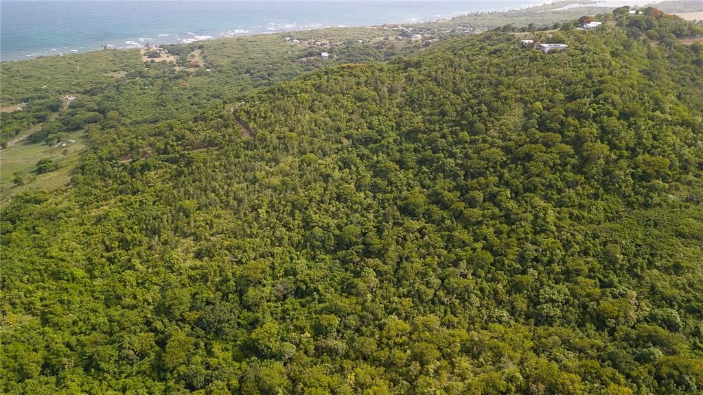 For Sale: $175,000 (3.74 acres)