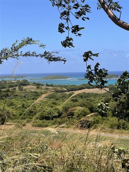 For Sale: $175,000 (3.74 acres)